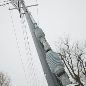 Trident composite pole transformer switch