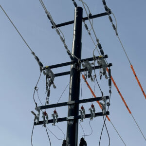 Trident composite pole switch