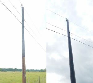 woodpecker damaged wooden pole replaced with Trident composite pole
