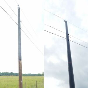 woodpecker damaged wooden pole replaced with Trident composite pole