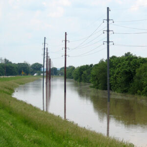 Trident utility poles in a flooded canal